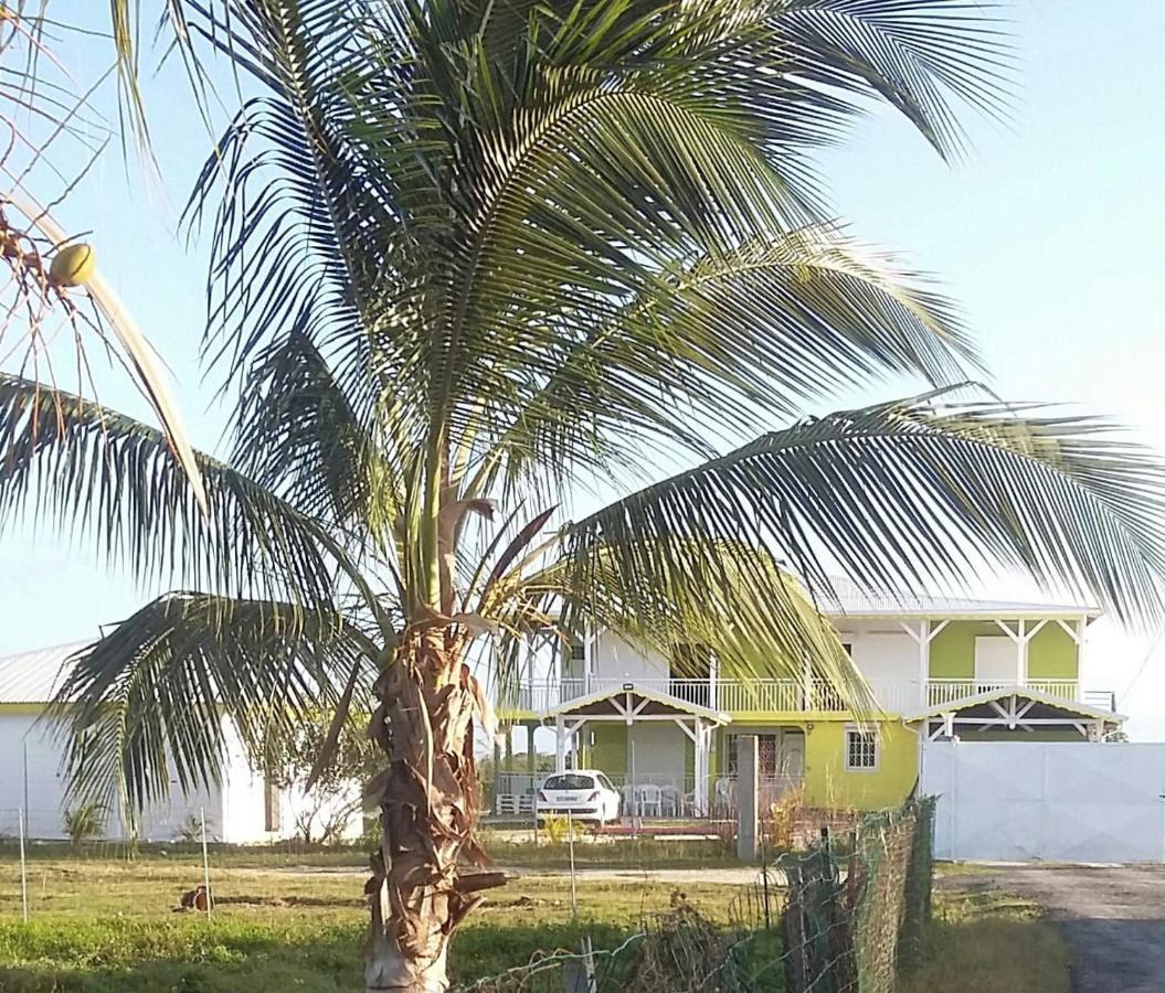 Villa Soleil De Surgy 상트 안느 외부 사진