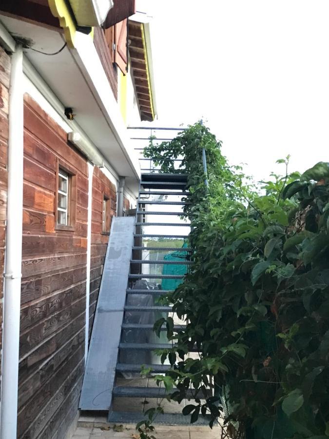 Villa Soleil De Surgy 상트 안느 외부 사진